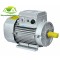 Motor Toàn Phát 1 pha 2.2KW - 2900 vòng/phút 0