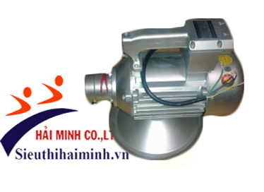 Máy đầm dùi ZNY803 (1,38KW) (220v)