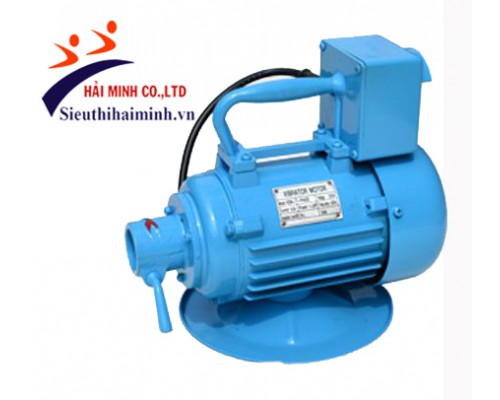 Máy đầm dùi ZNY803 (1,38KW) (220v)