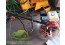 Máy xoa nền bê tông mini DMRS600 (GX160)